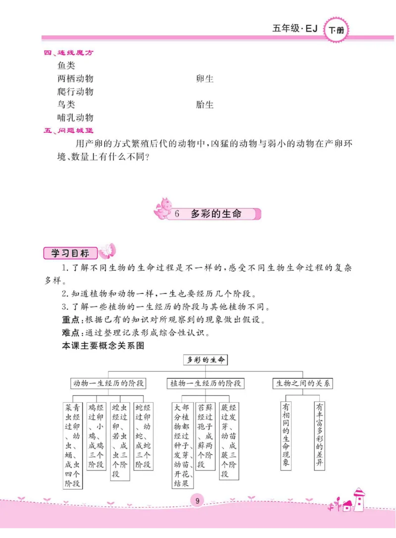 名校练+考五年级下册科学鄂教版_2024年人教版小学数学一二三四五六年级上册下册期中期末试a0747_小学全科《同步练习+精品试卷》打包下载（1-6年级单元月考期中期末试卷）_小学科学
