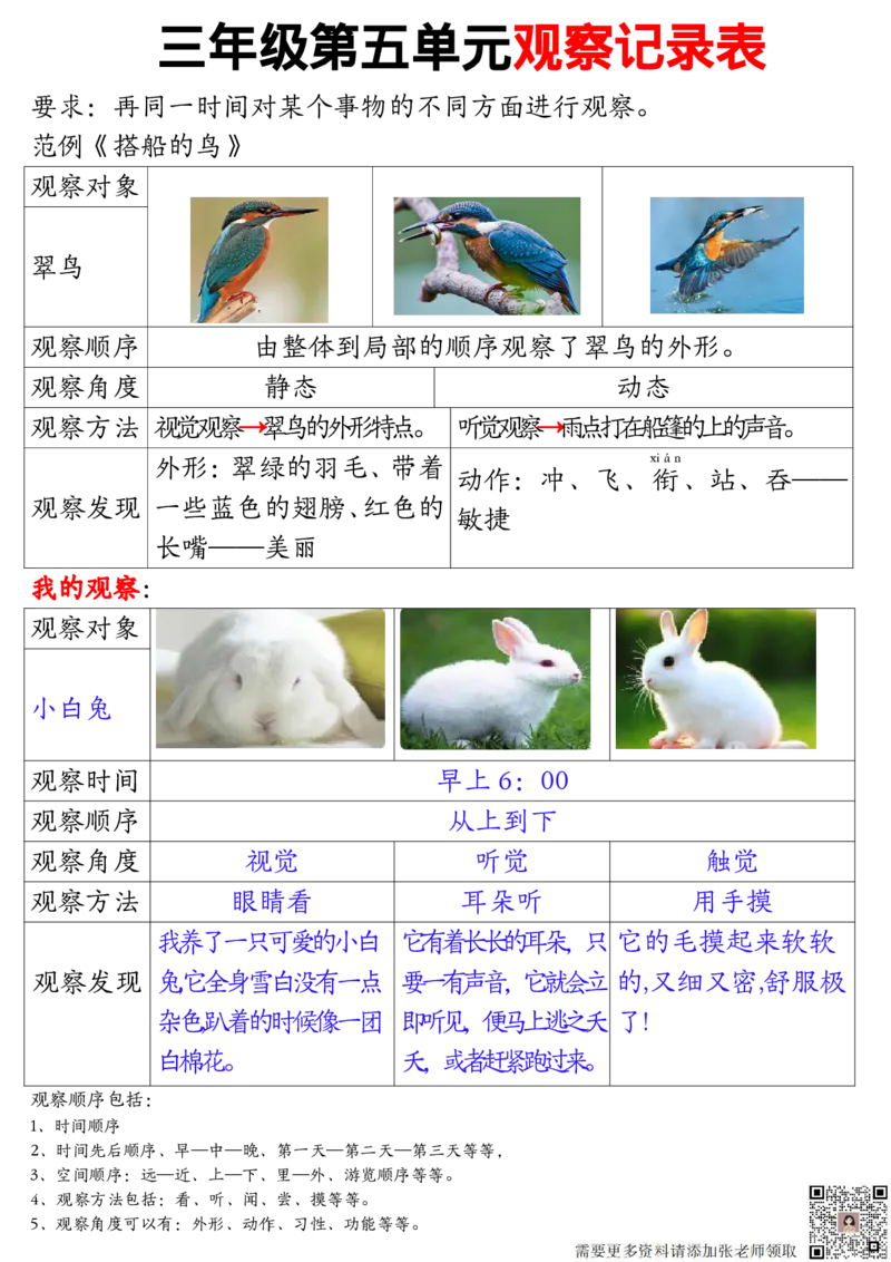 11.15三年级观察记录单答案1(1)_三年级上下册资料_三年级上册小红书同款资料_三年级(1)