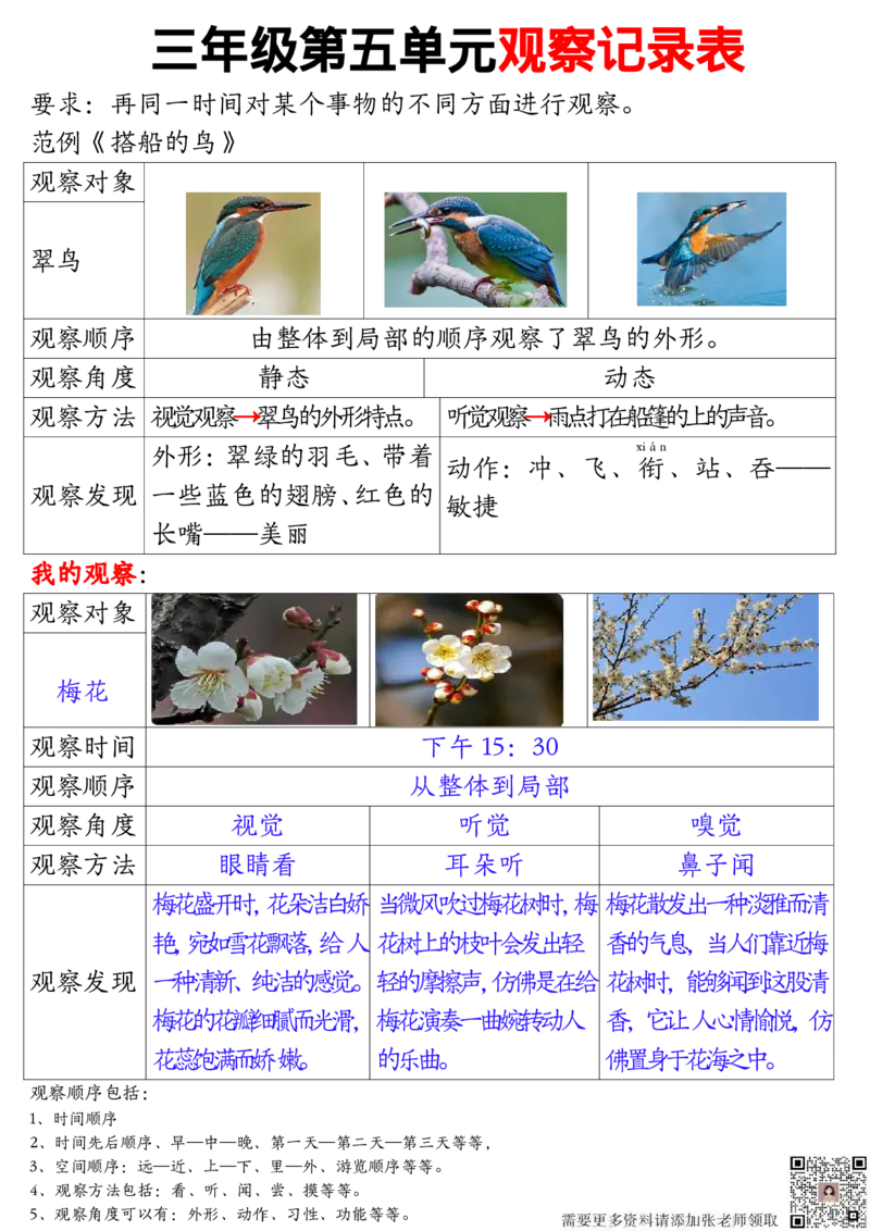 11.15三年级观察记录单答案1(1)_三年级上下册资料_三年级上册小红书同款资料_三年级(1)