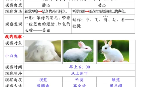 11.15三年级观察记录单答案1(1)_三年级上下册资料_三年级上册小红书同款资料_三年级(1)