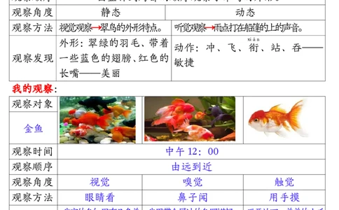 11.15三年级观察记录单答案1(1)_三年级上下册资料_三年级上册小红书同款资料_三年级(1)