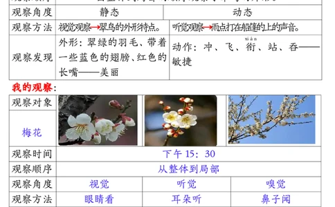 11.15三年级观察记录单答案1(1)_三年级上下册资料_三年级上册小红书同款资料_三年级(1)