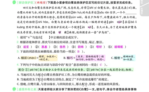 2025秋一遍过语文RJ5上主书教师用书（答案版）_五年级上册