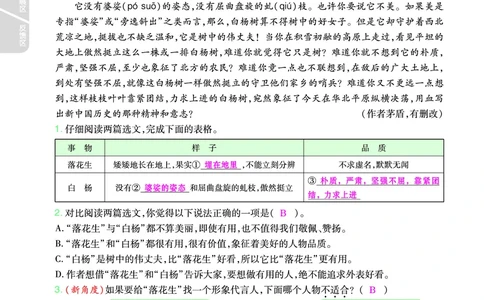 2025秋一遍过语文RJ5上主书教师用书（答案版）_五年级上册
