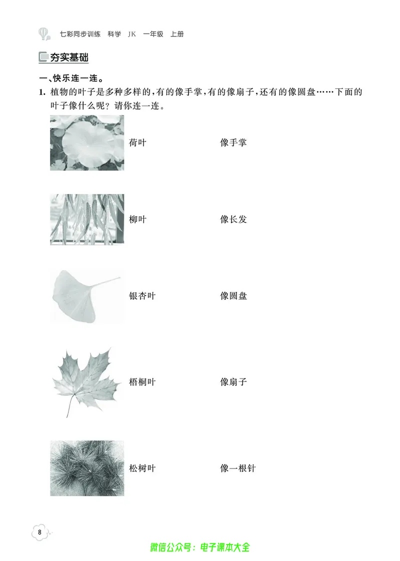 科学1a_2024年人教版小学数学一二三四五六年级上册下册期中期末试a0747_小学全科《同步练习+精品试卷》打包下载（1-6年级单元月考期中期末试卷）_小学科学