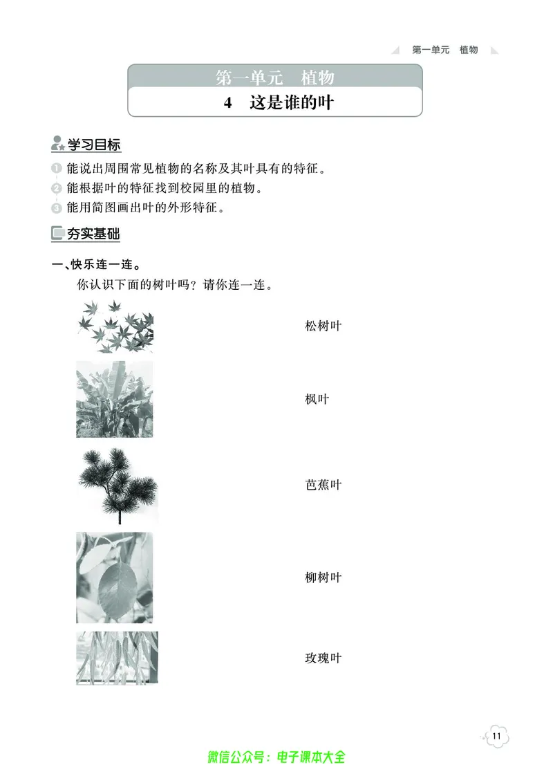 科学1a_2024年人教版小学数学一二三四五六年级上册下册期中期末试a0747_小学全科《同步练习+精品试卷》打包下载（1-6年级单元月考期中期末试卷）_小学科学