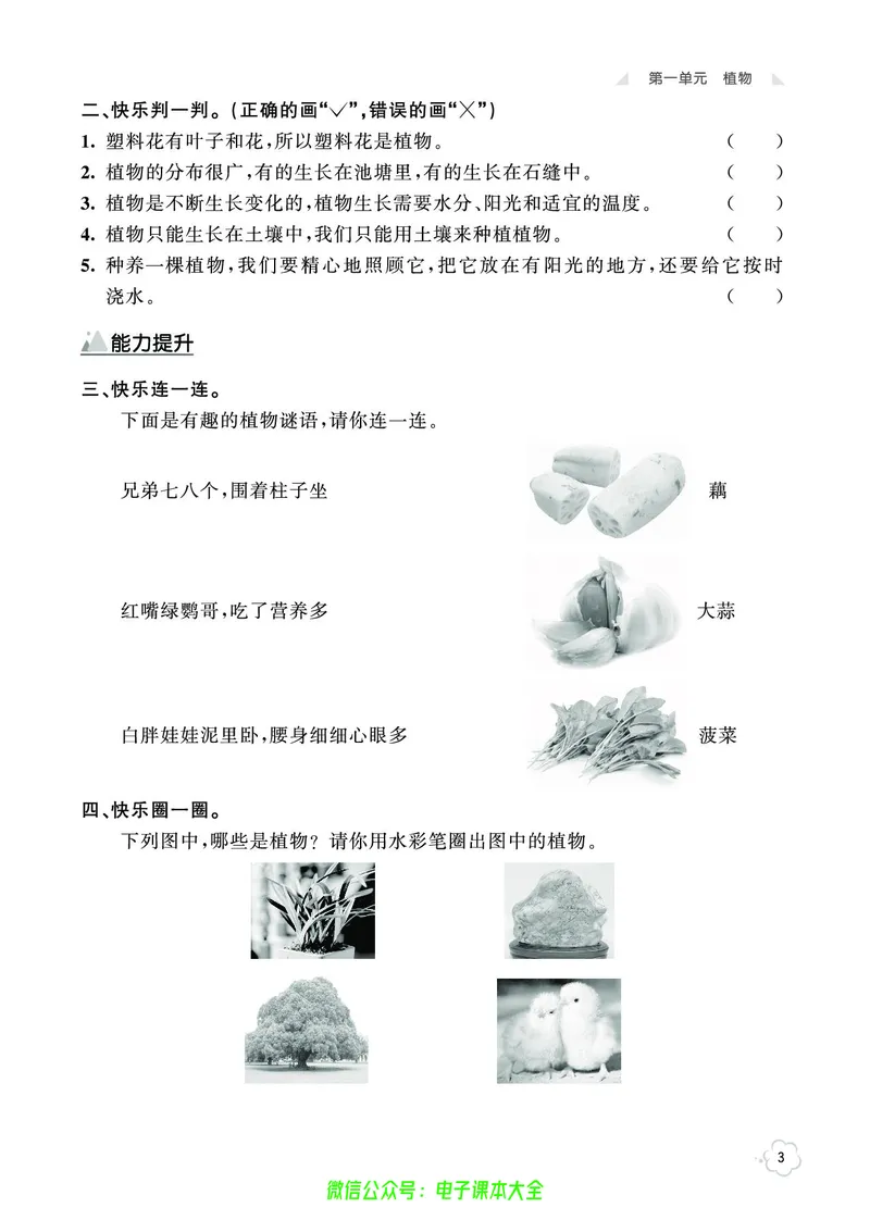 科学1a_2024年人教版小学数学一二三四五六年级上册下册期中期末试a0747_小学全科《同步练习+精品试卷》打包下载（1-6年级单元月考期中期末试卷）_小学科学