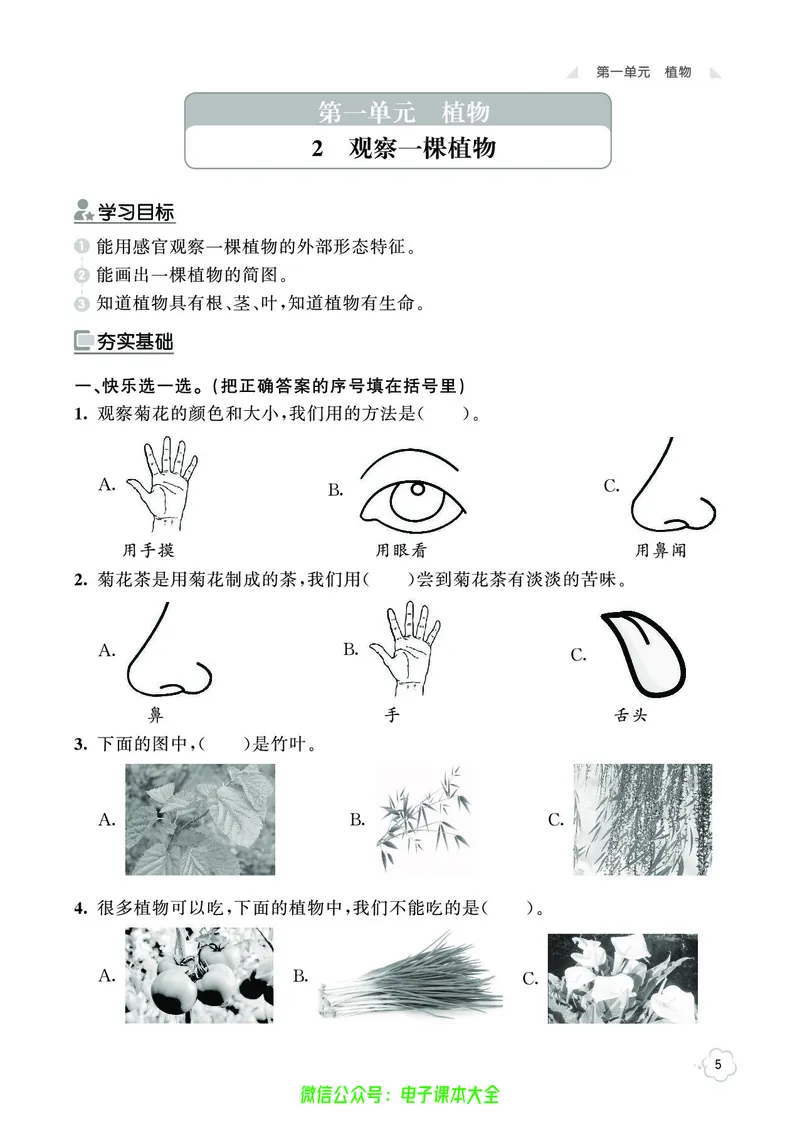 科学1a_2024年人教版小学数学一二三四五六年级上册下册期中期末试a0747_小学全科《同步练习+精品试卷》打包下载（1-6年级单元月考期中期末试卷）_小学科学
