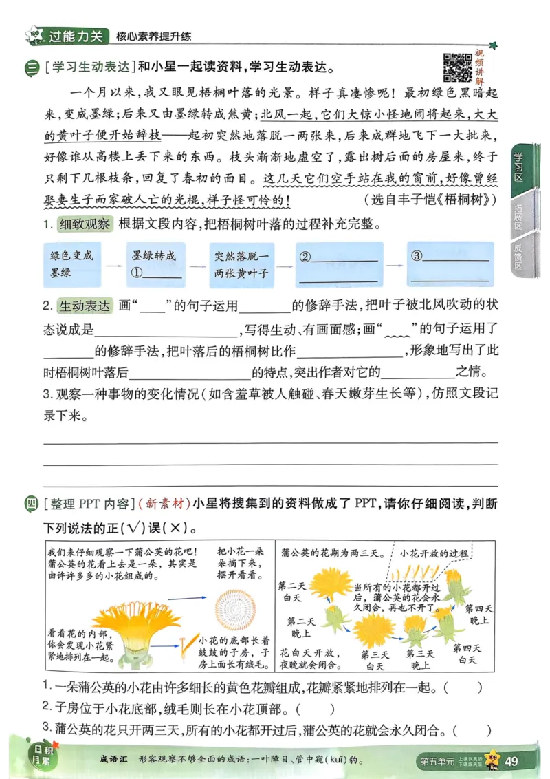 25秋一遍过3上语文