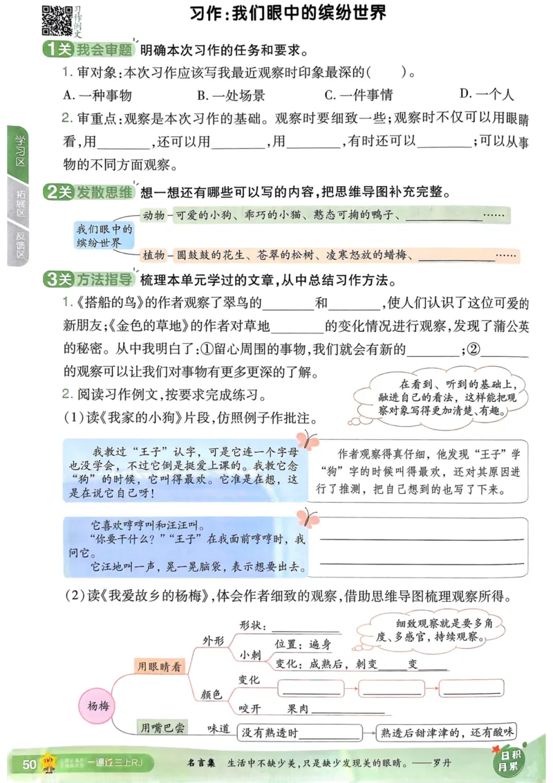 25秋一遍过3上语文