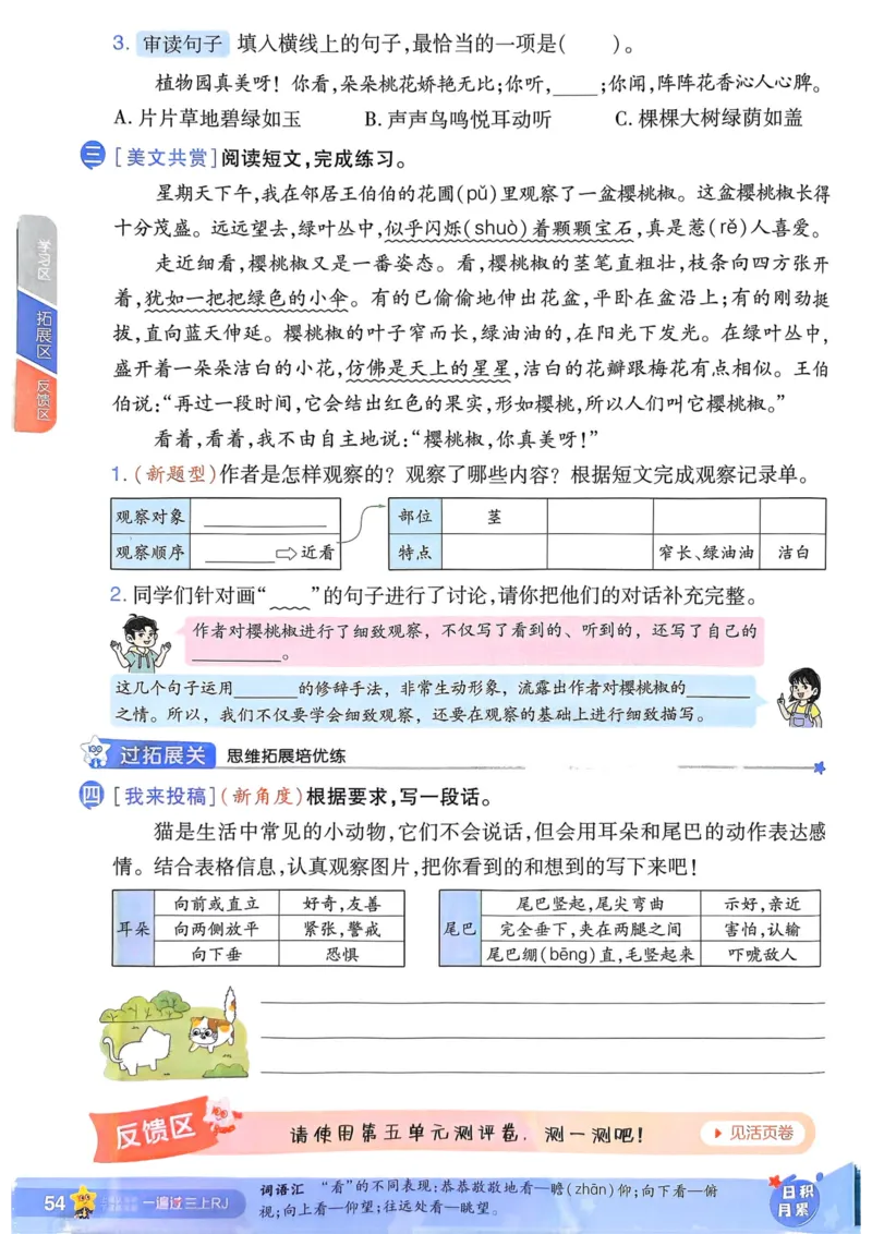 25秋一遍过3上语文