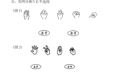 一上数学位置左右手区分练习_一上数学25秋
