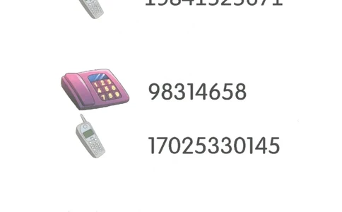 七大能力练习册-记忆力_幼小语数英专项资料_幼小数学专项