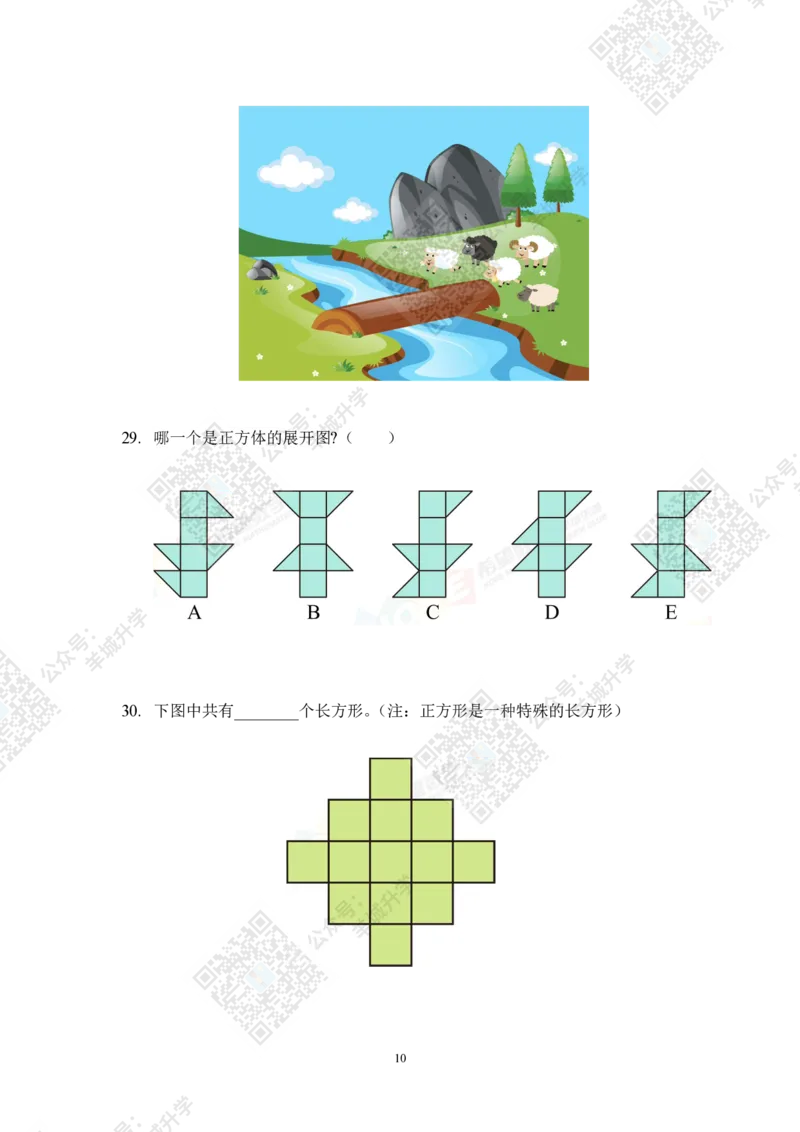 2022冬令营4年级_希望杯IHC