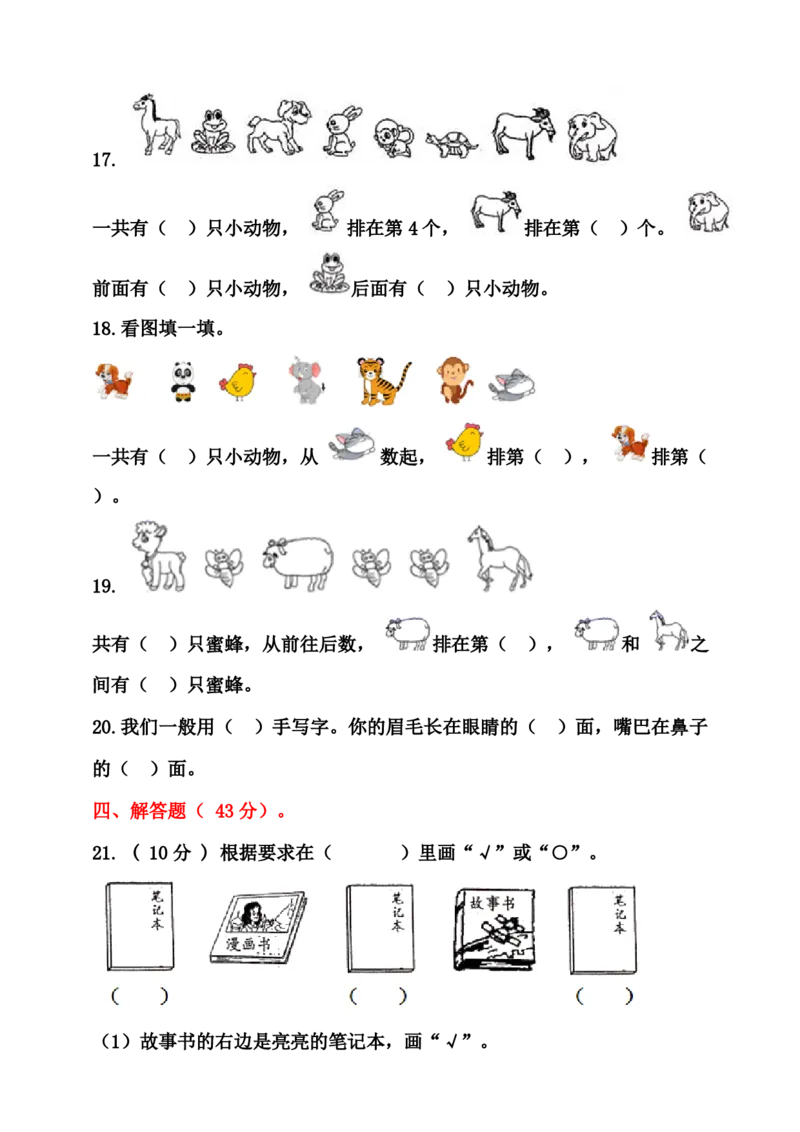 一年级数学上册位置专项测试卷（含答案）_一上数学25秋