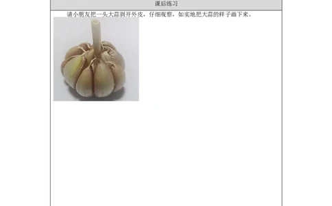 0902一年级科学(教科版)我们知道的植物-4练习题_一年级上下册资料_小学一年级学习资料-25年更新版_1-09、小学一年级科学上册_教科版_课时练