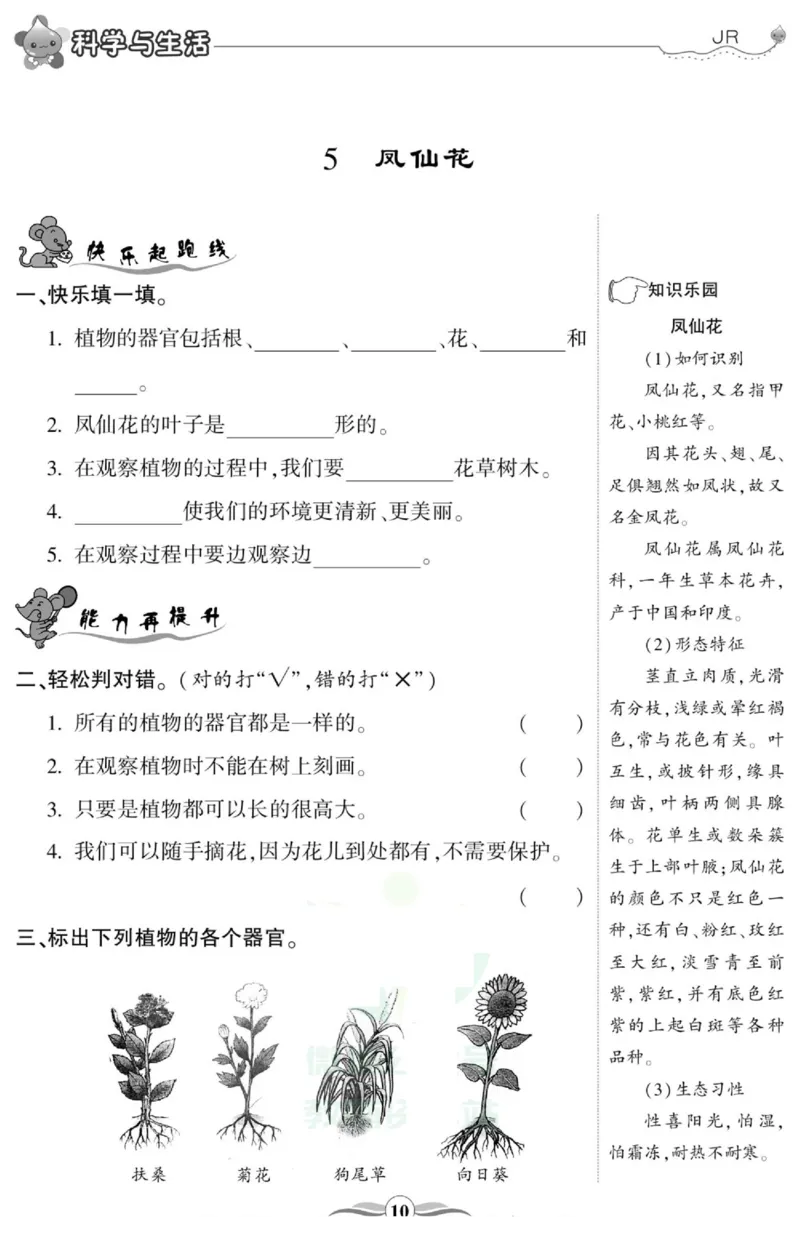 智能训练&middot;科学三年级上册冀人版_2024年人教版小学数学一二三四五六年级上册下册期中期末试a0747_小学全科《同步练习+精品试卷》打包下载（1-6年级单元月考期中期末试卷）_小学科学