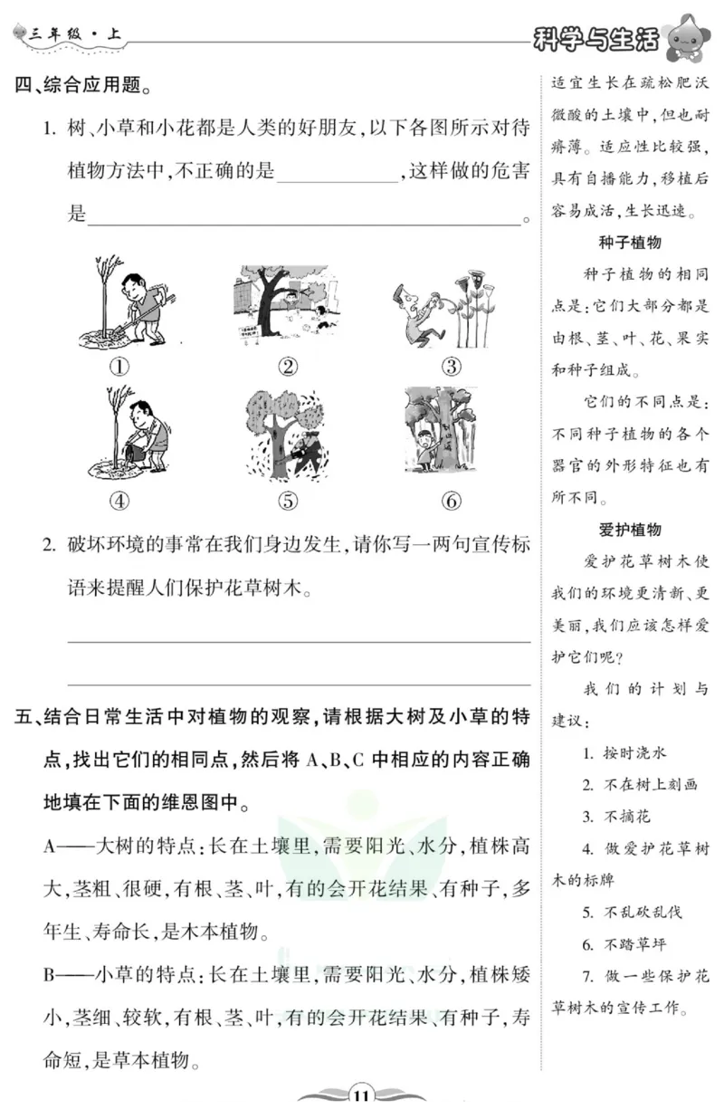 智能训练&middot;科学三年级上册冀人版_2024年人教版小学数学一二三四五六年级上册下册期中期末试a0747_小学全科《同步练习+精品试卷》打包下载（1-6年级单元月考期中期末试卷）_小学科学