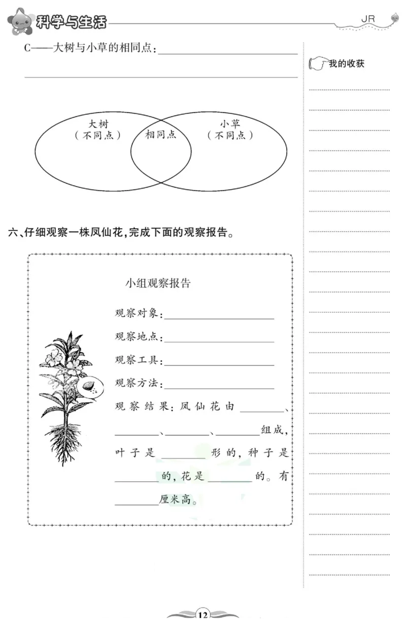 智能训练&middot;科学三年级上册冀人版_2024年人教版小学数学一二三四五六年级上册下册期中期末试a0747_小学全科《同步练习+精品试卷》打包下载（1-6年级单元月考期中期末试卷）_小学科学