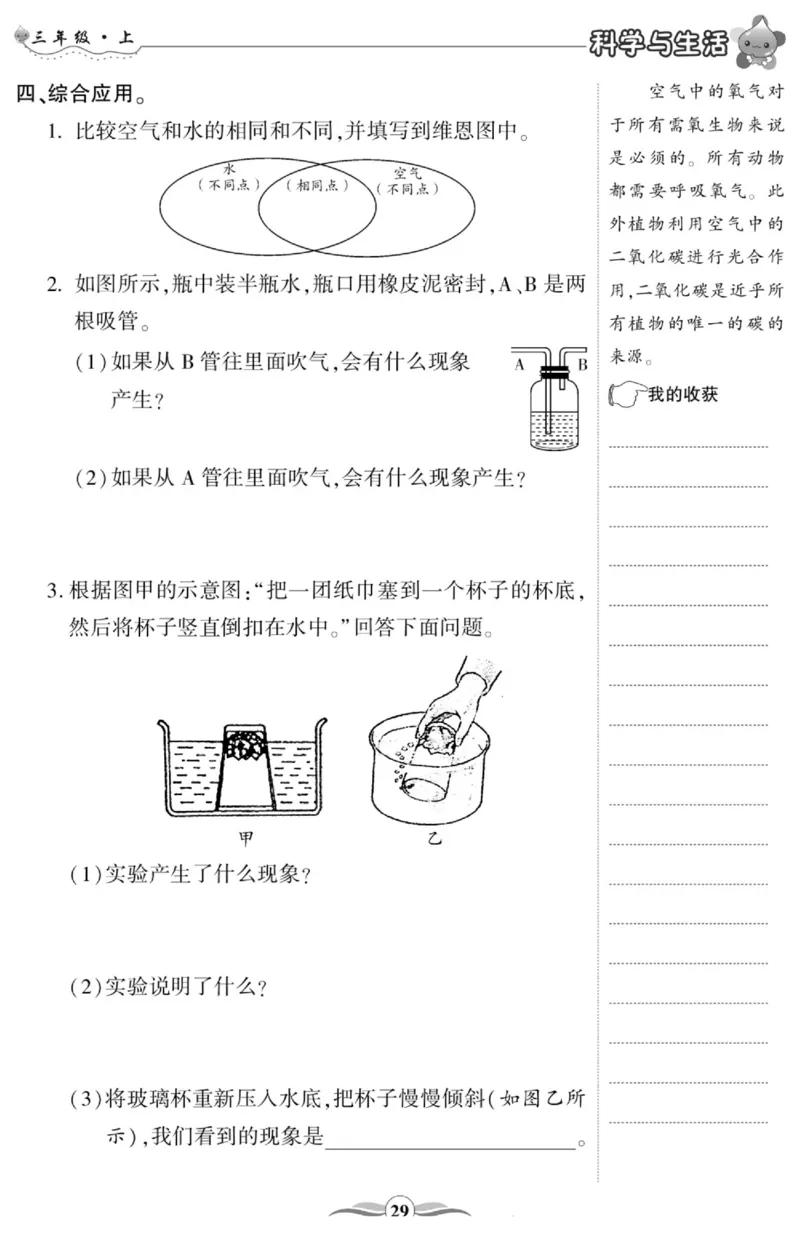 智能训练&middot;科学三年级上册冀人版_2024年人教版小学数学一二三四五六年级上册下册期中期末试a0747_小学全科《同步练习+精品试卷》打包下载（1-6年级单元月考期中期末试卷）_小学科学