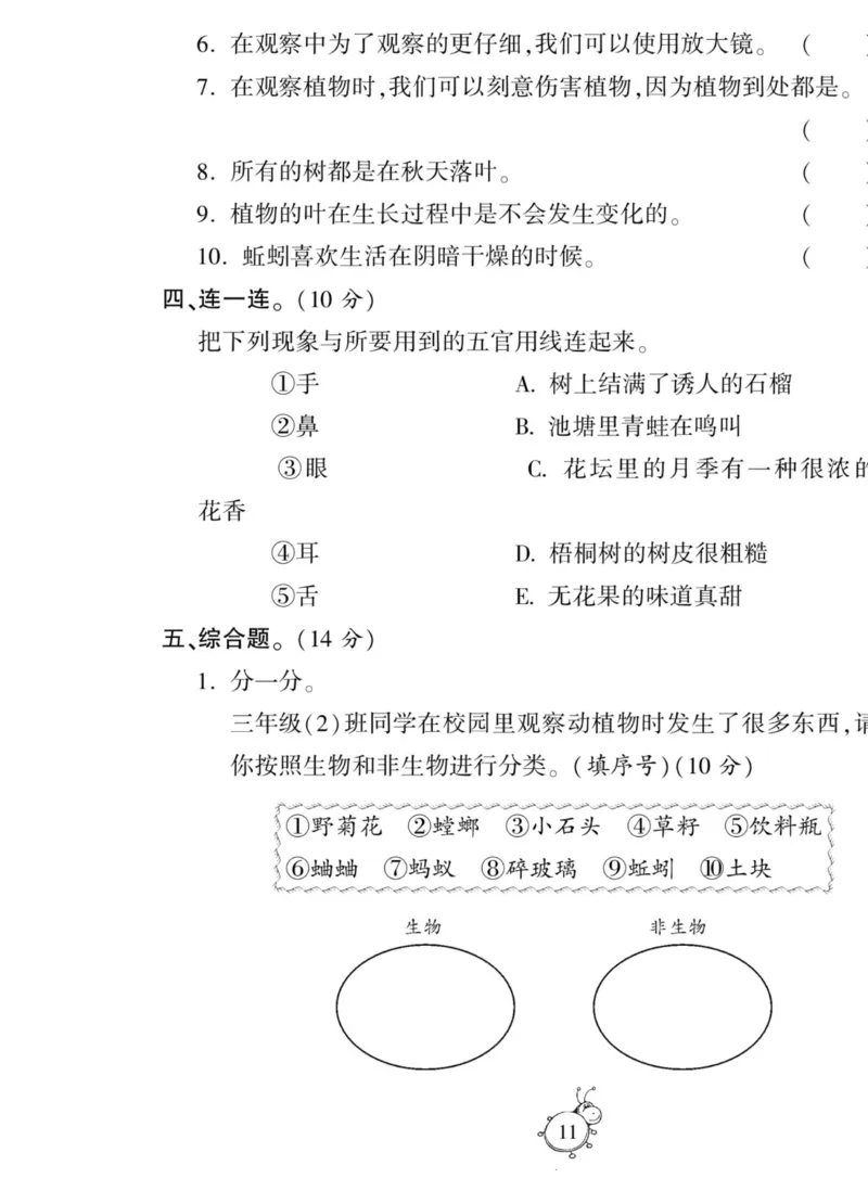 智能训练&middot;科学三年级上册冀人版_2024年人教版小学数学一二三四五六年级上册下册期中期末试a0747_小学全科《同步练习+精品试卷》打包下载（1-6年级单元月考期中期末试卷）_小学科学
