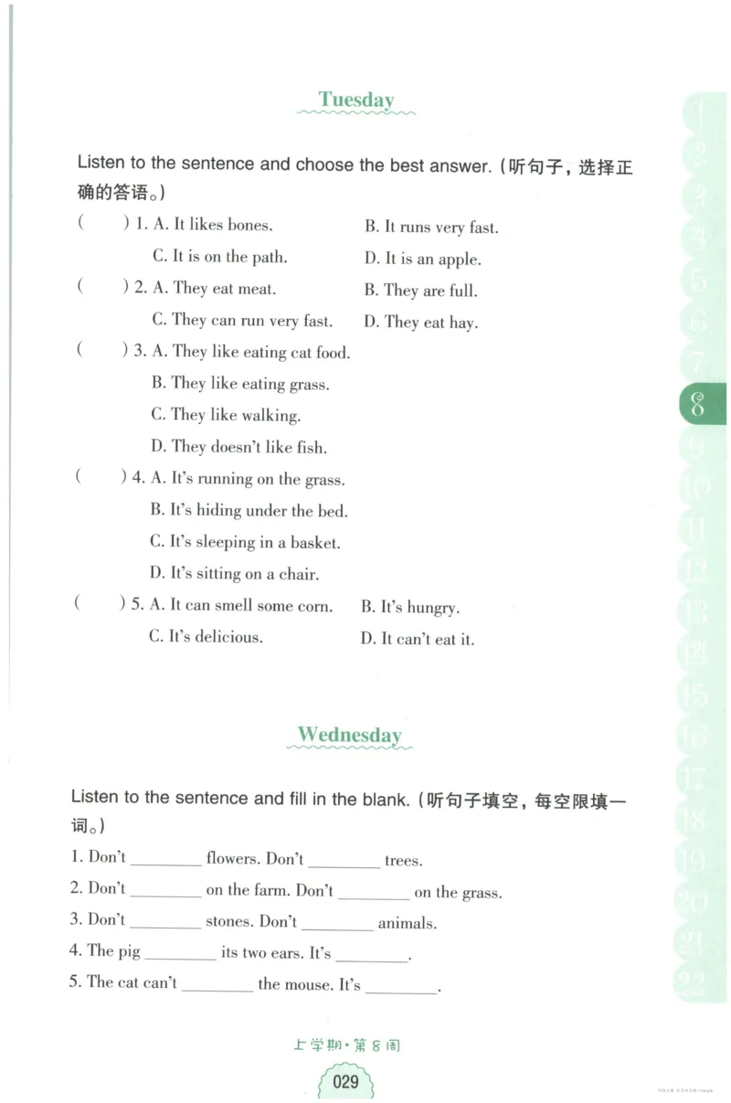 英语听力--4年级_儿童训练听力幼儿园手耳朵眼睛协调训练益智游戏4岁上空间想象力_1-6小学英语听力