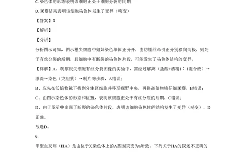 2020年高考生物试卷（北京）（解析卷）_生物历年高考真题_新&middot;PDF版2008-2025&middot;高考生物真题_生物（按省份分类）2008-2025_2008-2025&middot;（北京）生物高考真题