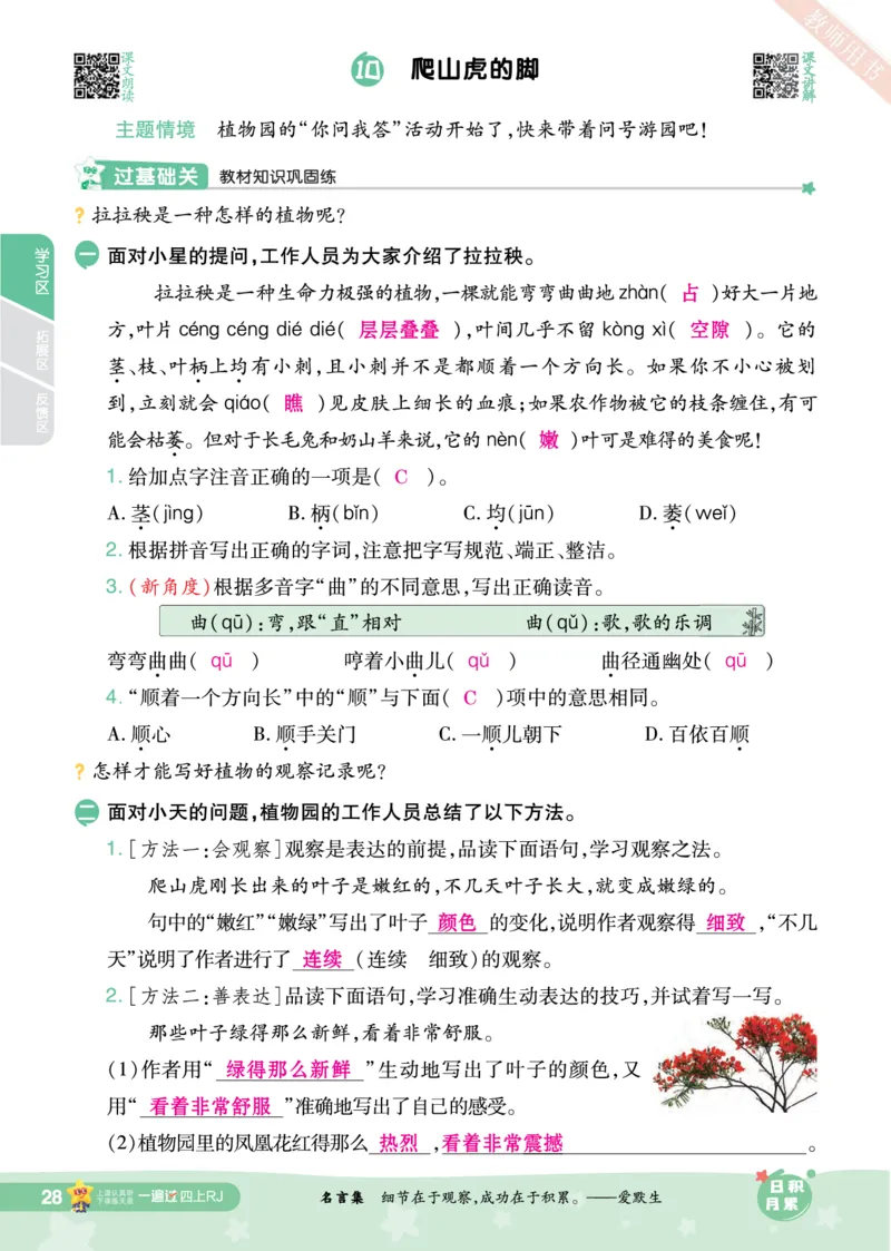 2025秋一遍过语文RJ4上主书教师用书（答案版）_四年级上册