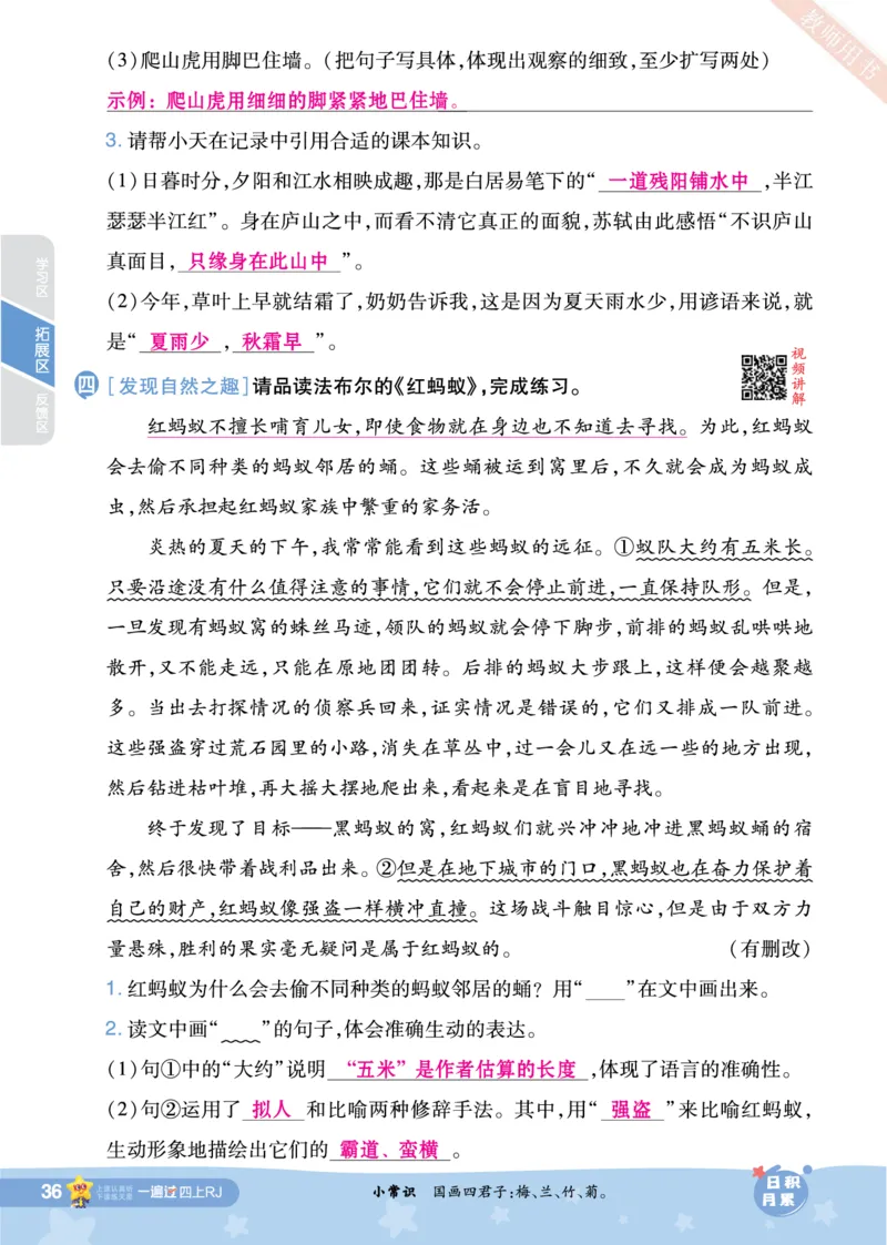 2025秋一遍过语文RJ4上主书教师用书（答案版）_四年级上册