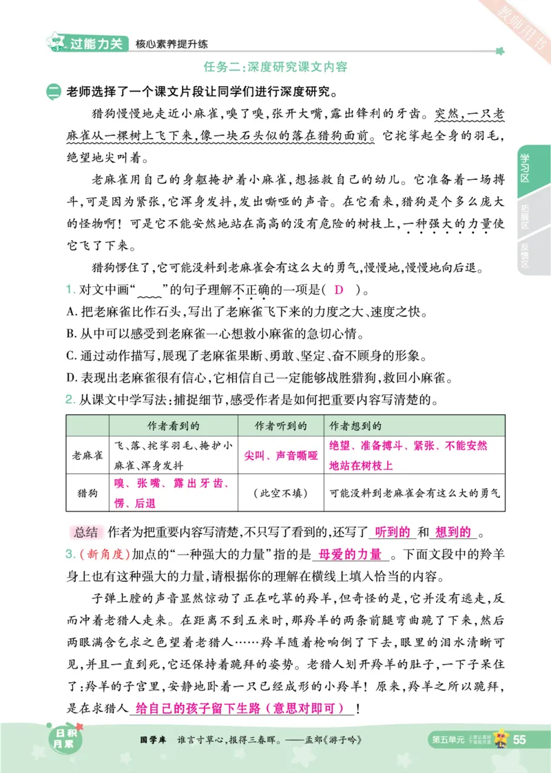 2025秋一遍过语文RJ4上主书教师用书（答案版）_四年级上册