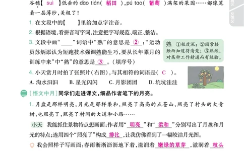 2025秋一遍过语文RJ4上主书教师用书（答案版）_四年级上册