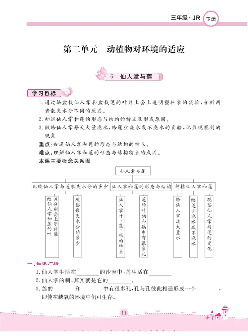名校练+考三年级下册科学冀人版_2024年人教版小学数学一二三四五六年级上册下册期中期末试a0747_小学全科《同步练习+精品试卷》打包下载（1-6年级单元月考期中期末试卷）_小学科学