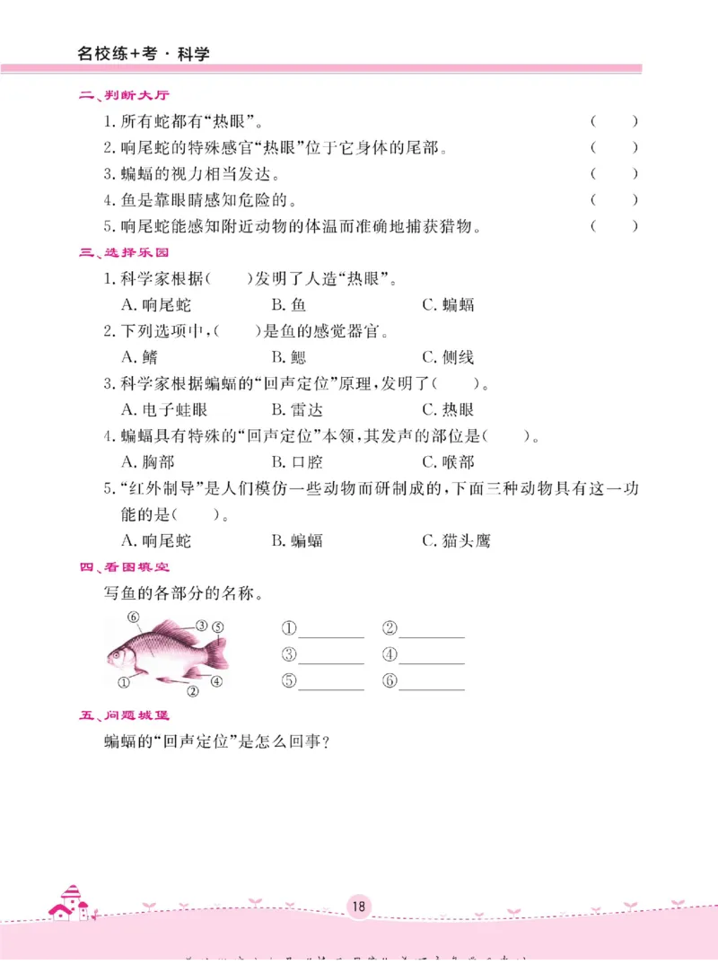 名校练+考三年级下册科学冀人版_2024年人教版小学数学一二三四五六年级上册下册期中期末试a0747_小学全科《同步练习+精品试卷》打包下载（1-6年级单元月考期中期末试卷）_小学科学