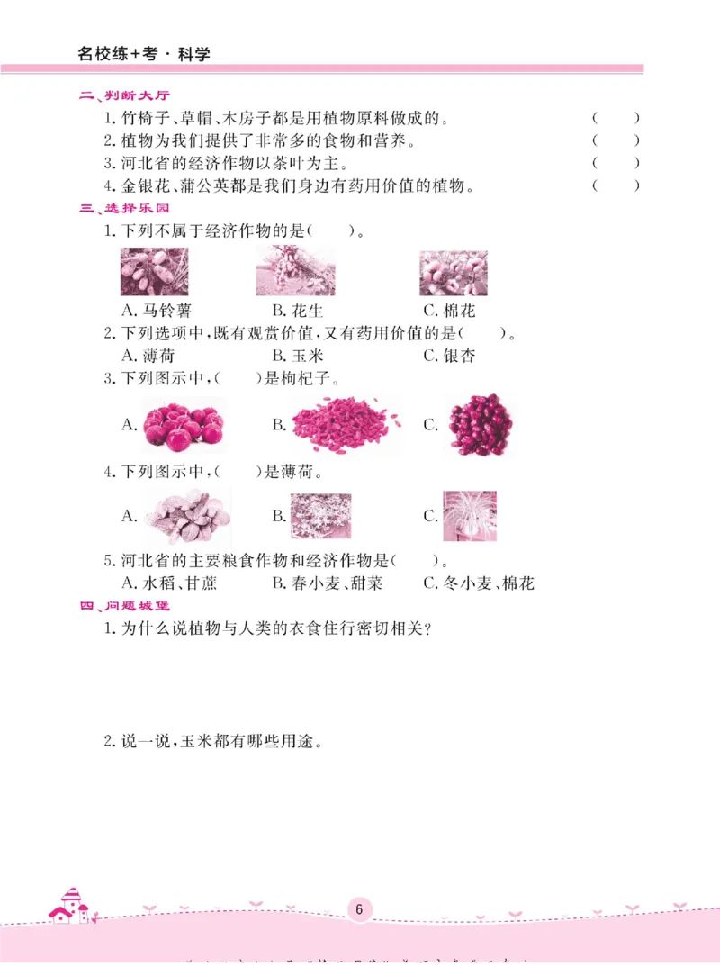 名校练+考三年级下册科学冀人版_2024年人教版小学数学一二三四五六年级上册下册期中期末试a0747_小学全科《同步练习+精品试卷》打包下载（1-6年级单元月考期中期末试卷）_小学科学