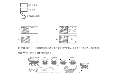 2020年高考生物试卷（上海）（空白卷）_生物历年高考真题_新&middot;Word版2008-2025&middot;高考生物真题_生物（按省份分类）2008-2025_2008-2022&middot;（上海）生物高考真题