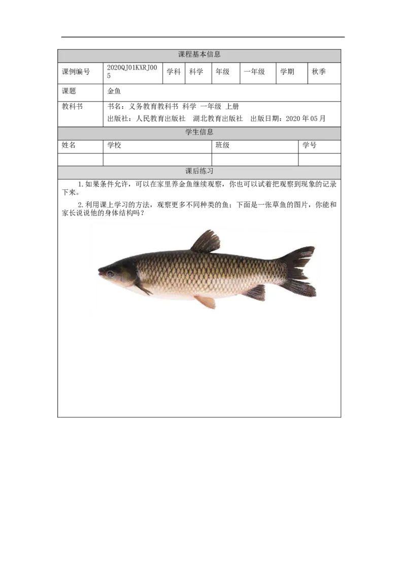 0929一年级科学(人教版)金鱼-4练习题_一年级上下册资料_小学一年级学习资料-25年更新版_1-09、小学一年级科学上册_人教鄂教版_练习题