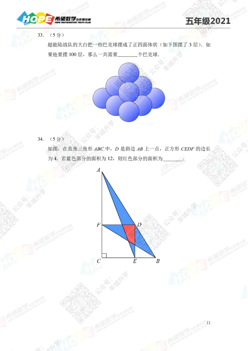 2021冬令营5年级_希望杯IHC