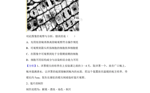 2019年高考生物试卷（北京）（解析卷）_生物历年高考真题_新&middot;PDF版2008-2025&middot;高考生物真题_生物（按试卷类型分类）2008-2025_自主命题卷&middot;生物（2008-2025）_北京自主命题&middot;生物（2008-2025）