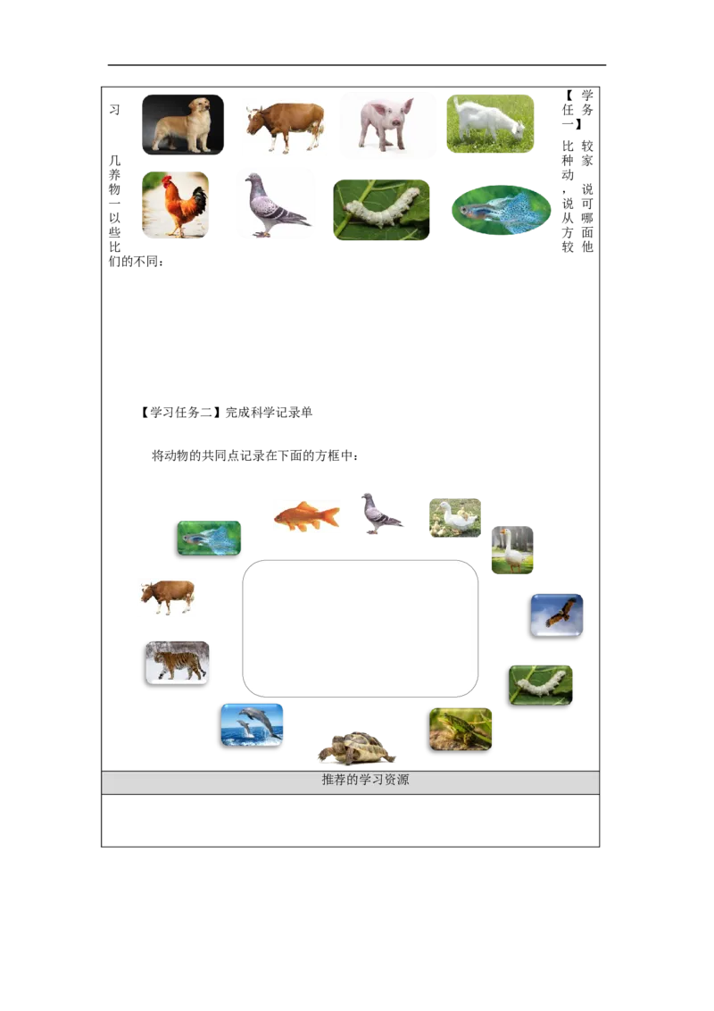 1022一年级科学(人教版)常见的家养动物-3学习任务单_一年级上下册资料_小学一年级学习资料-25年更新版_1-09、小学一年级科学上册_人教鄂教版_学习任务单