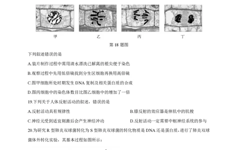 2019年高考生物试卷（浙江）4月（空白卷）_生物历年高考真题_新&middot;PDF版2008-2025&middot;高考生物真题_生物（按年份分类）2008-2025_2019&middot;高考生物真题