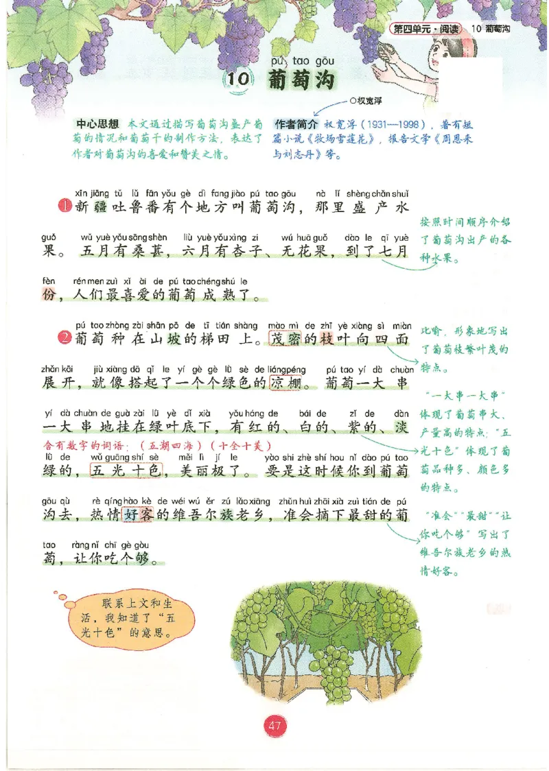 一升二新版语文课堂笔记_小学全网线上同款资料_k92_语文