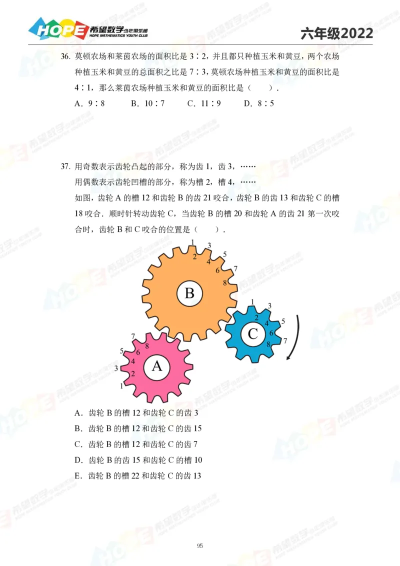 2024年6年级完整版_希望杯IHC