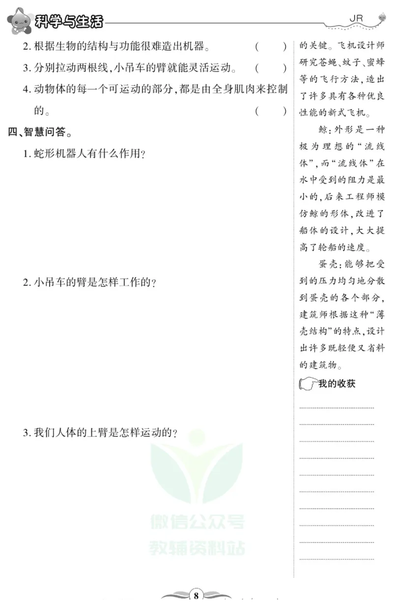 智能训练&middot;科学四年级上册冀人版_2024年人教版小学数学一二三四五六年级上册下册期中期末试a0747_小学全科《同步练习+精品试卷》打包下载（1-6年级单元月考期中期末试卷）_小学科学