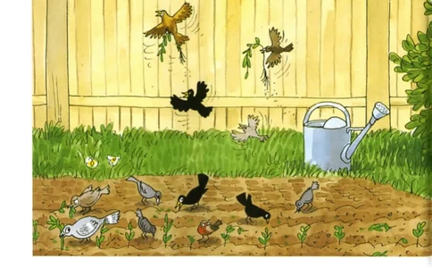 5-15Scarecrows_Frank（小毛怪）老师爆笑阅读单词课（50个故事3000词）_牛津树5级别穿越单词课课件