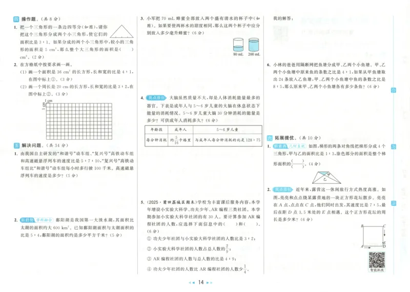 2025秋亮点给力大试卷数学6上RJ