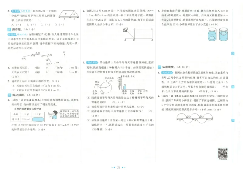 2025秋亮点给力大试卷数学6上RJ