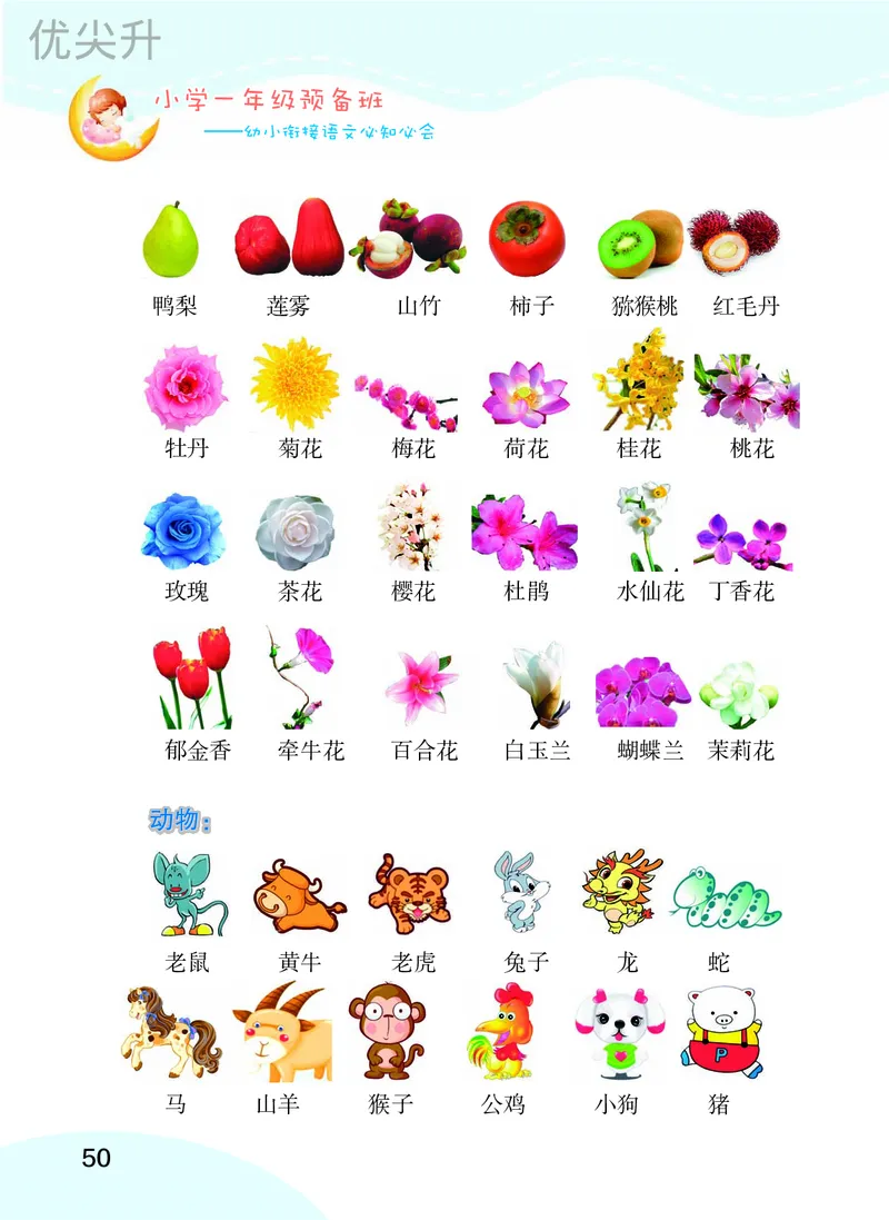 幼小衔接语文教材（含拼音、识字、阅读、看图写话）_幼小衔接全套_7.幼小衔接全套_22、幼小衔接教材