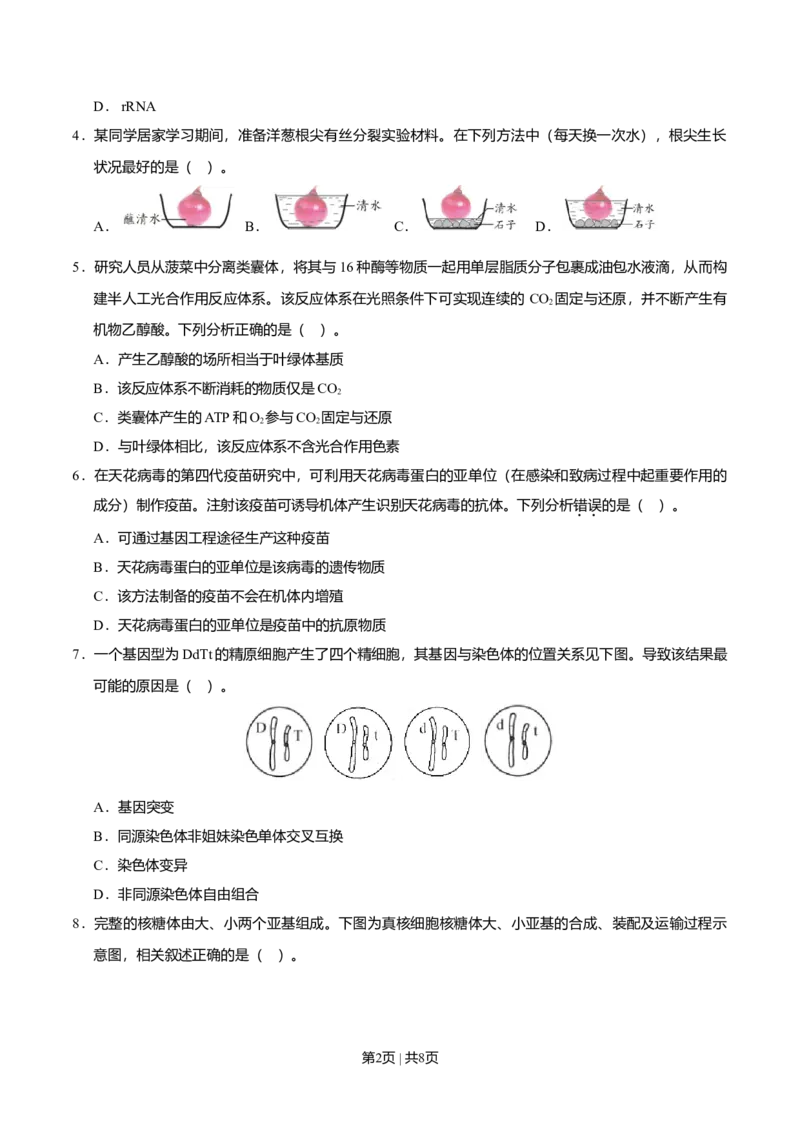 2020年高考生物试卷（天津）（空白卷）_生物历年高考真题_新&middot;Word版2008-2025&middot;高考生物真题_生物（按年份分类）2008-2025_2020&middot;高考生物真题