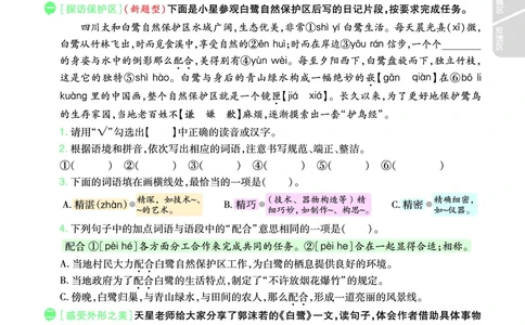 2025秋一遍过语文RJ5上主书_五年级上册