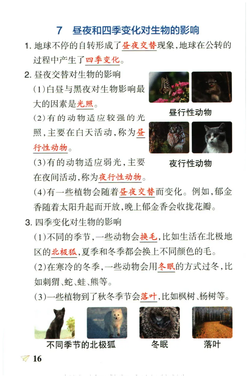 小学学霸作业本六年级上册科学教科版知识手册_2024年人教版小学数学一二三四五六年级上册下册期中期末试a0747_小学全科《同步练习+精品试卷》打包下载（1-6年级单元月考期中期末试卷）